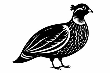 partridge silhouette line art vector illustration with a white background