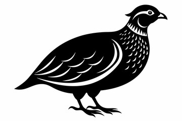 partridge silhouette line art vector illustration with a white background