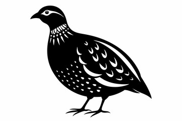 partridge silhouette line art vector illustration with a white background