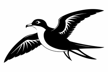 petrel silhouette line art vector illustration with a white background