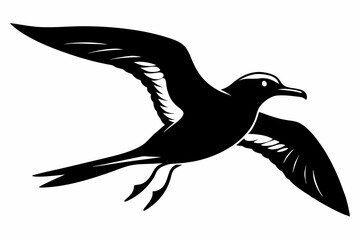 petrel silhouette line art vector illustration with a white background