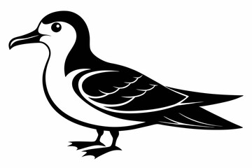 petrel silhouette line art vector illustration with a white background