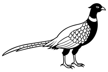 pheasant silhouette line art vector illustration with a white background