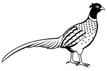pheasant silhouette line art vector illustration with a white background