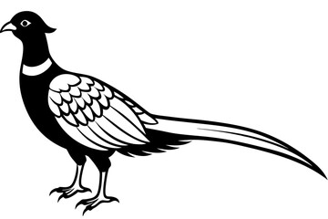 pheasant silhouette line art vector illustration with a white background