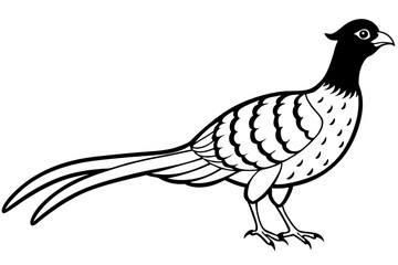 pheasant silhouette line art vector illustration with a white background
