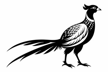 pheasant silhouette line art vector illustration with a white background