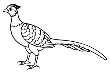 pheasant silhouette line art vector illustration with a white background