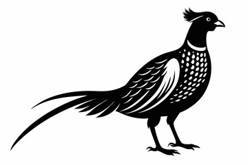 pheasant silhouette line art vector illustration with a white background