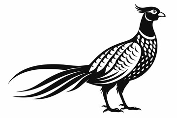 pheasant silhouette line art vector illustration with a white background