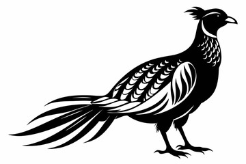pheasant silhouette line art vector illustration with a white background