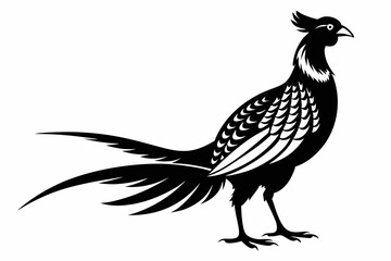 pheasant silhouette line art vector illustration with a white background