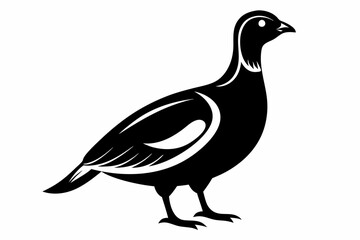 ptarmigan silhouette line art vector illustration with a white background