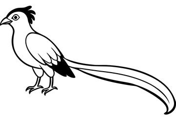 quetzal silhouette line art vector illustration with a white background