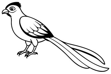 quetzal silhouette line art vector illustration with a white background