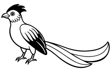quetzal silhouette line art vector illustration with a white background