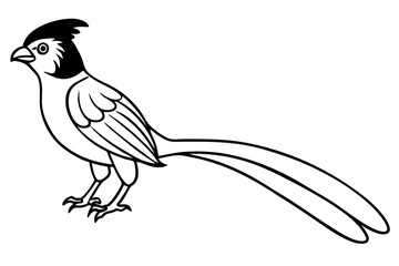 quetzal silhouette line art vector illustration with a white background