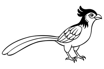 quetzal silhouette line art vector illustration with a white background
