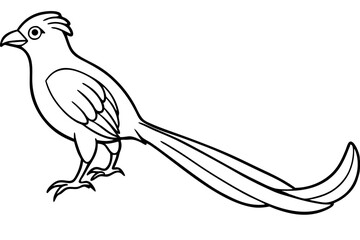 quetzal silhouette line art vector illustration with a white background