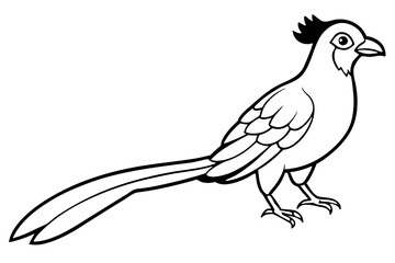 Obraz premium quetzal silhouette line art vector illustration with a white background