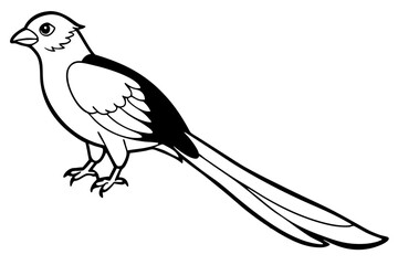 quetzal silhouette line art vector illustration with a white background