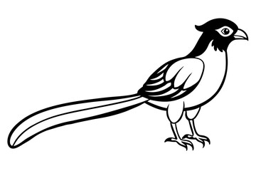 quetzal silhouette line art vector illustration with a white background