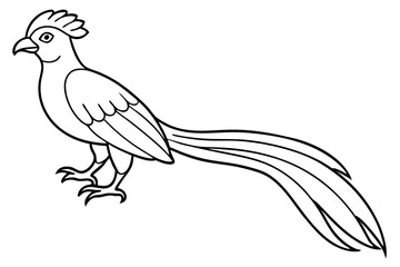 quetzal silhouette line art vector illustration with a white background