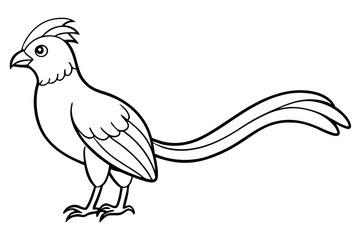 quetzal silhouette line art vector illustration with a white background