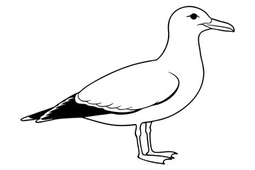 seagull silhouette line art vector illustration with a white background