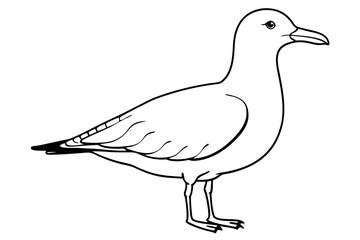 seagull silhouette line art vector illustration with a white background