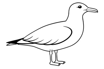 seagull silhouette line art vector illustration with a white background