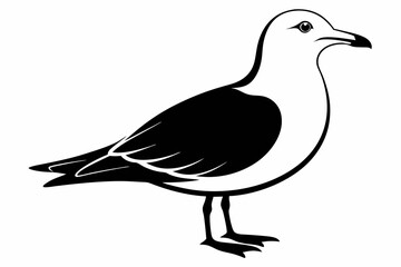 seagull silhouette line art vector illustration with a white background