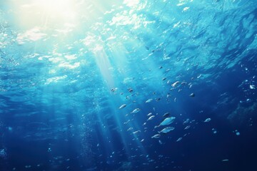 Underwater Tranquility