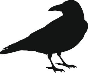 Bird Silhouette Svg 