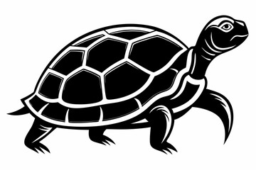 turtle silhouette line art vector illustration with a white background