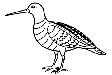 woodcock silhouette line art vector illustration with a white background
