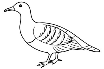 woodcock silhouette line art vector illustration with a white background