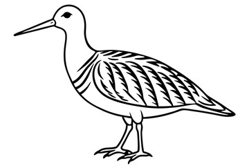 woodcock silhouette line art vector illustration with a white background