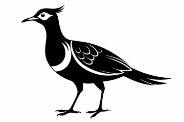 woodcock silhouette line art vector illustration with a white background