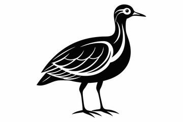 woodcock silhouette line art vector illustration with a white background
