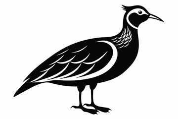 woodcock silhouette line art vector illustration with a white background