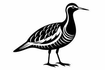 Fototapeta premium woodcock silhouette line art vector illustration with a white background