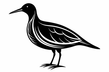 woodcock silhouette line art vector illustration with a white background