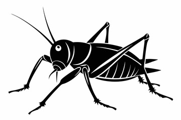 katydid silhouette line art vector illustration with a white background