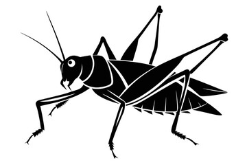 katydid silhouette line art vector illustration with a white background