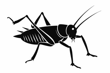 katydid silhouette line art vector illustration with a white background