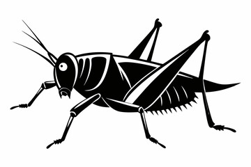 katydid silhouette line art vector illustration with a white background