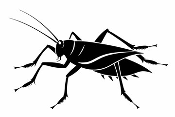 katydid silhouette line art vector illustration with a white background