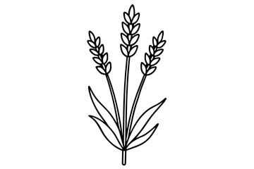 lavender silhouette line art vector illustration with a white background