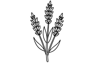 lavender silhouette line art vector illustration with a white background